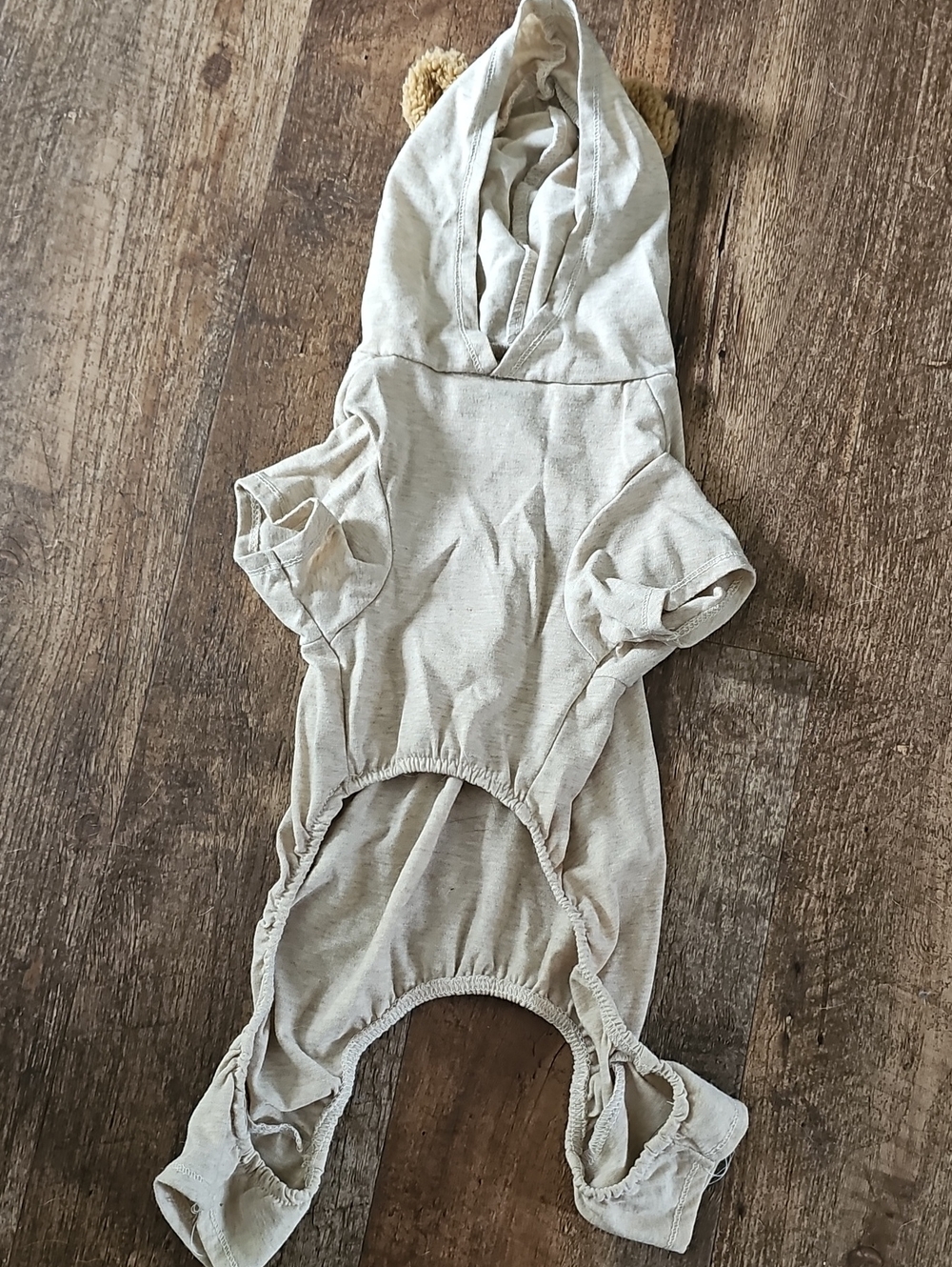 Pet Clothes